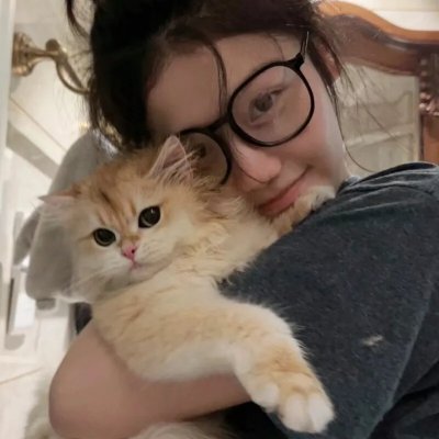 猪猪侠之积木世界的童话